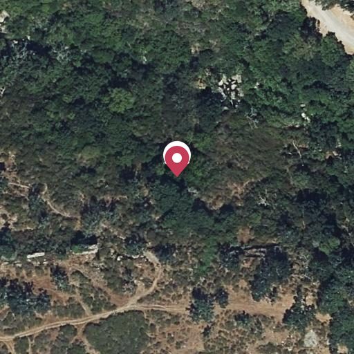 Foto aérea de la subasta en Los Barrios