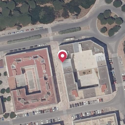Foto aérea de la subasta en Puerto Real
