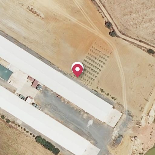 Foto aérea de la subasta en Aljaraque