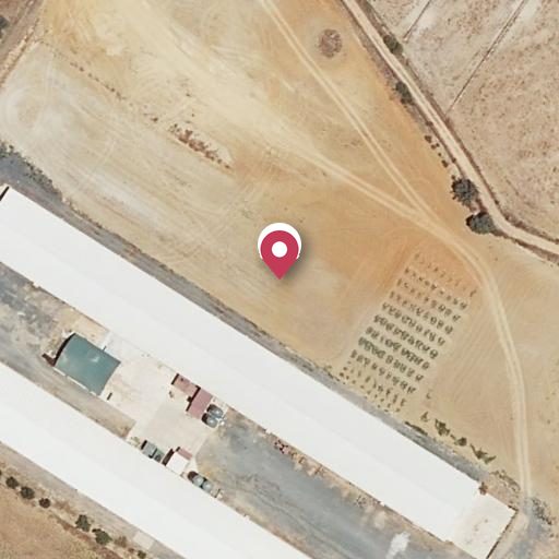 Foto aérea de la subasta en Aljaraque