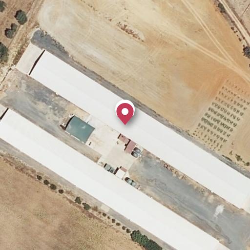 Foto aérea de la subasta en Aljaraque