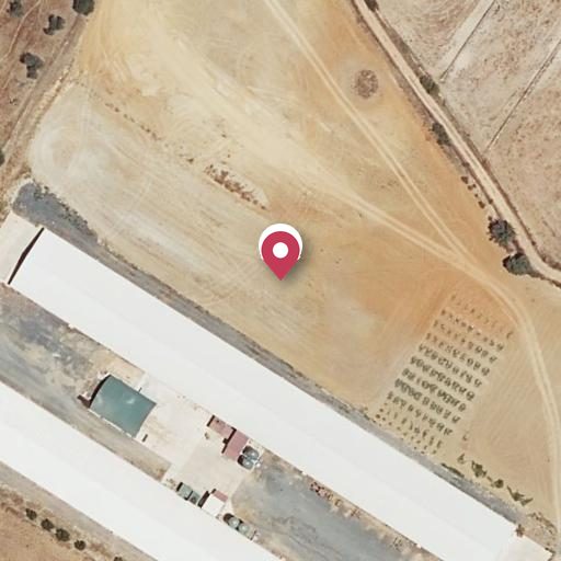 Foto aérea de la subasta en Aljaraque