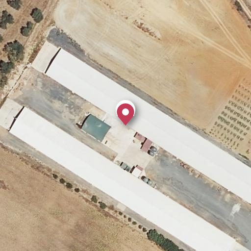 Foto aérea de la subasta en Aljaraque