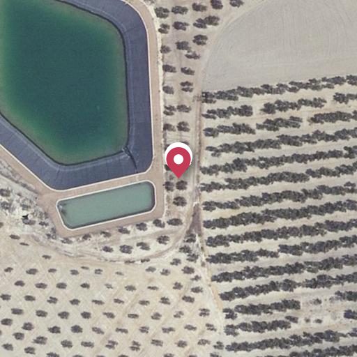 Foto aérea de la subasta en Hornos