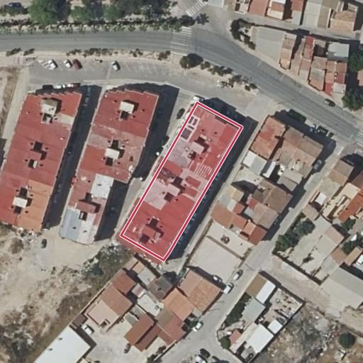 Foto aérea de la subasta en Alguazas