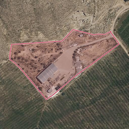 Foto aérea de la subasta en Jumilla