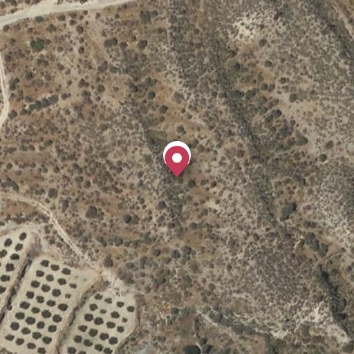 Foto aérea de la subasta en Olula del Rio