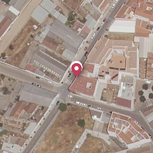 Foto aérea de la subasta en Almendralejo