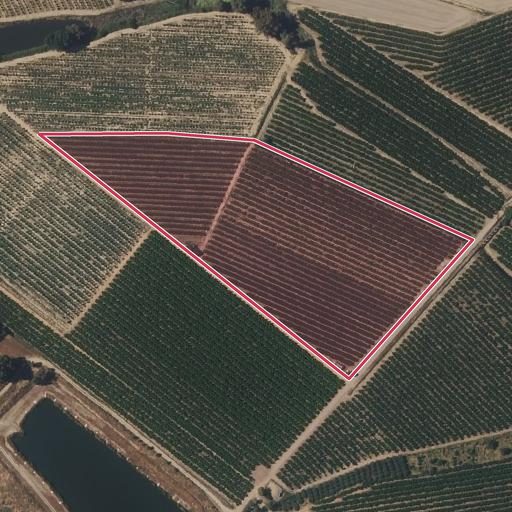 Foto aérea de la subasta en Villanueva de la Serena