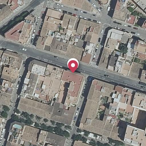 Foto aérea de la subasta en Palma