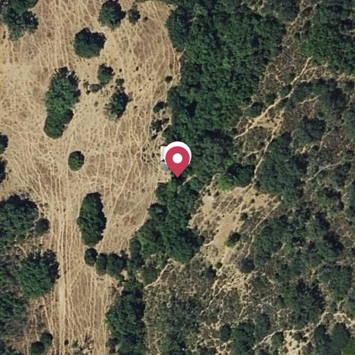 Foto aérea de la subasta en Prado del Rey