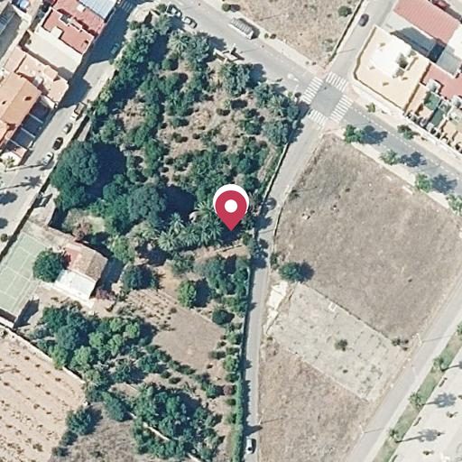 Foto aérea de la subasta en Moncofa