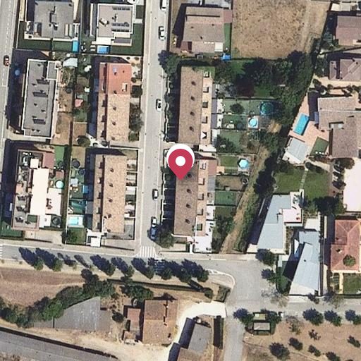 Foto aérea de la subasta en Sant Gregori