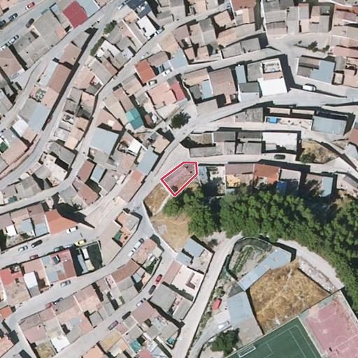 Foto aérea de la subasta en Deifontes