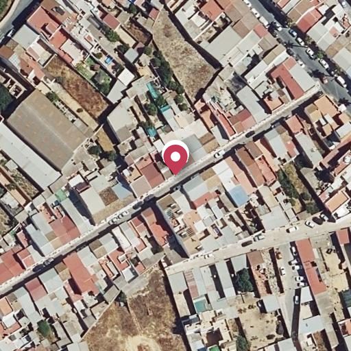 Foto aérea de la subasta en Almonte