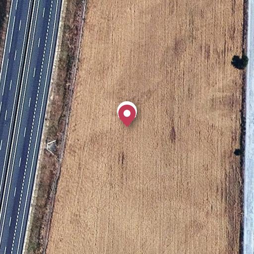 Foto aérea de la subasta en Roselló
