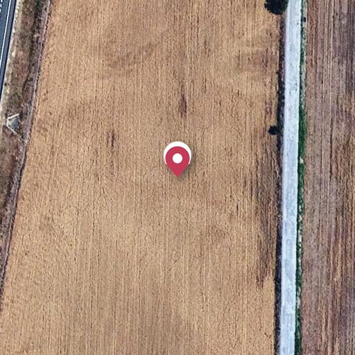 Foto aérea de la subasta en Roselló