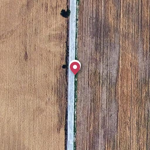 Foto aérea de la subasta en Roselló