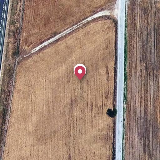 Foto aérea de la subasta en Roselló