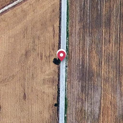 Foto aérea de la subasta en Roselló