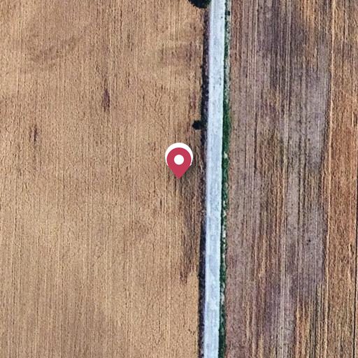 Foto aérea de la subasta en Roselló
