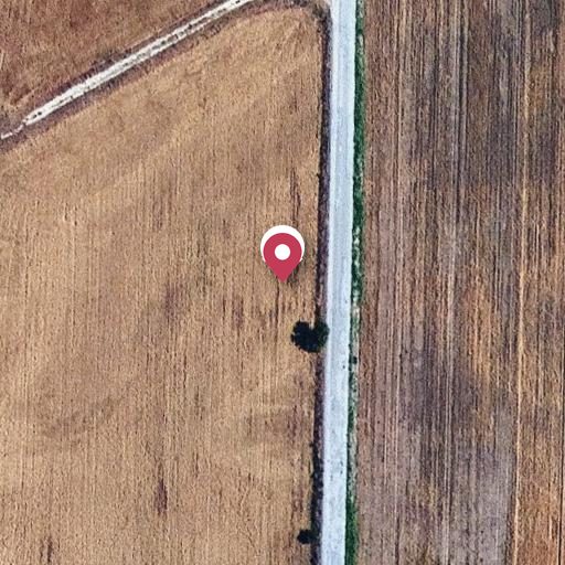 Foto aérea de la subasta en Roselló