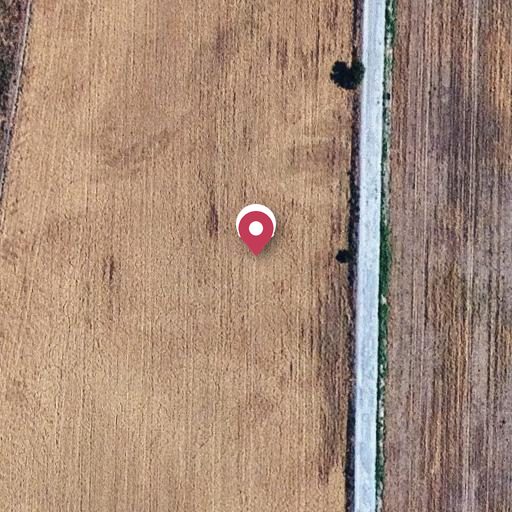 Foto aérea de la subasta en Roselló
