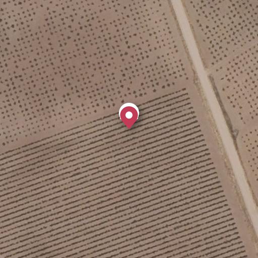 Foto aérea de la subasta en Aceuchal