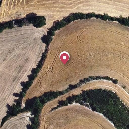 Foto aérea de la subasta en Calonge de Segarra