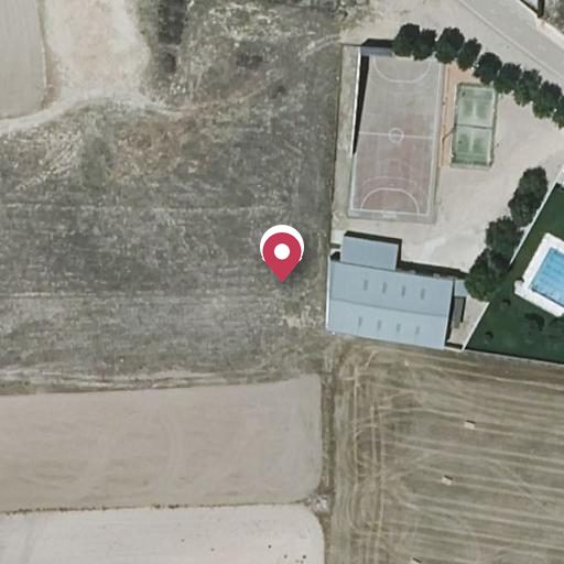 Foto aérea de la subasta en Vara de Rey