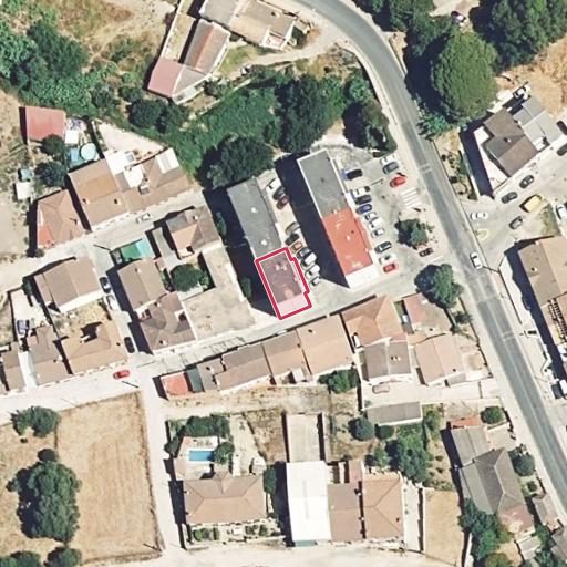 Foto aérea de la subasta en Jimena de la Frontera