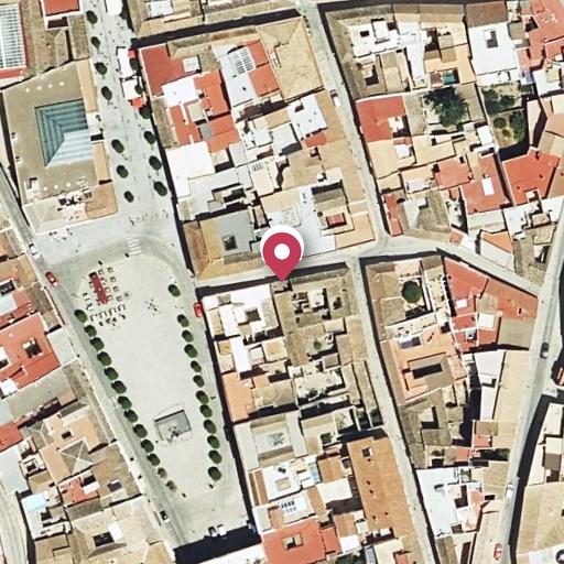 Foto aérea de la subasta en Medina Sidonia