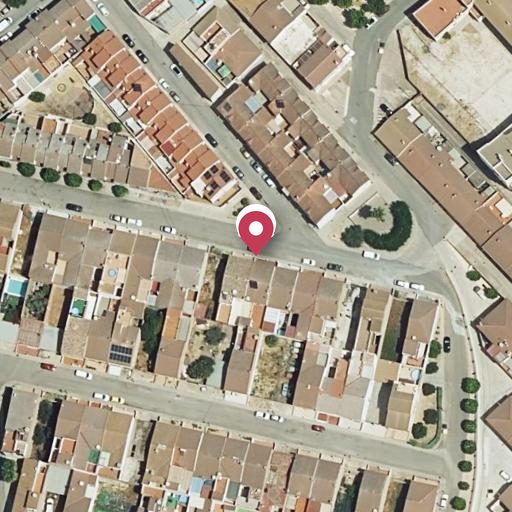 Foto aérea de la subasta en Santaella