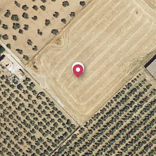 Foto aérea de la subasta en Carlota, la
