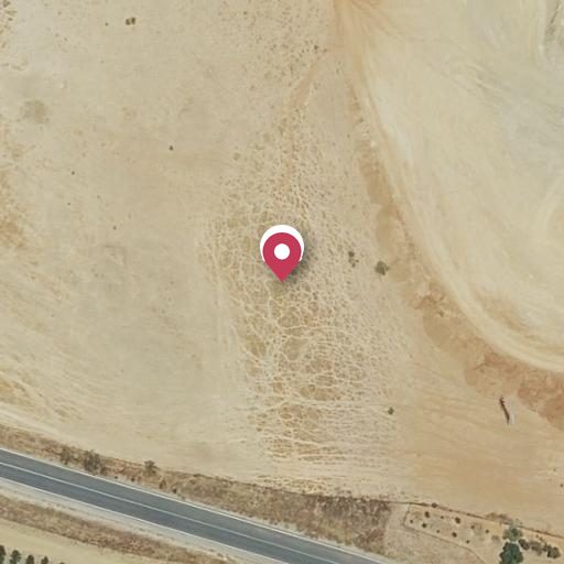 Foto aérea de la subasta en Almodóvar del Río
