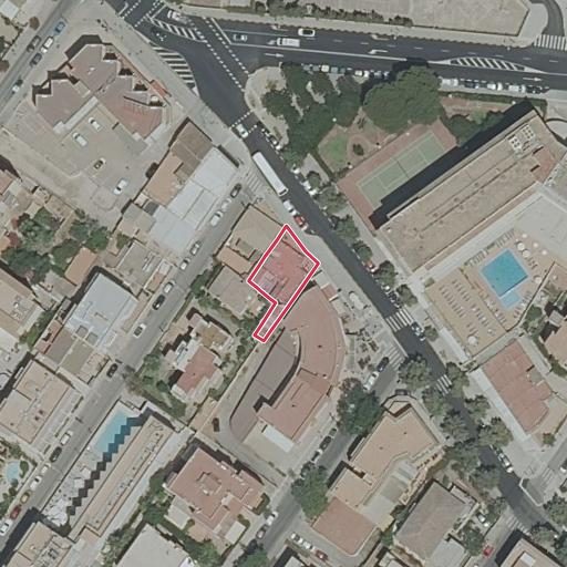 Foto aérea de la subasta en Palma
