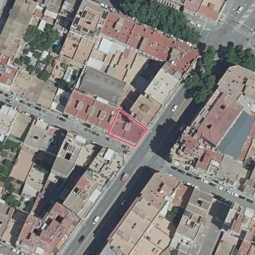 Foto aérea de la subasta en Palma
