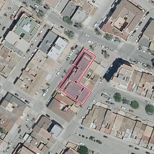 Foto aérea de la subasta en Santa Margalida