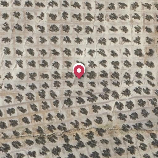 Foto aérea de la subasta en Santo Tomé