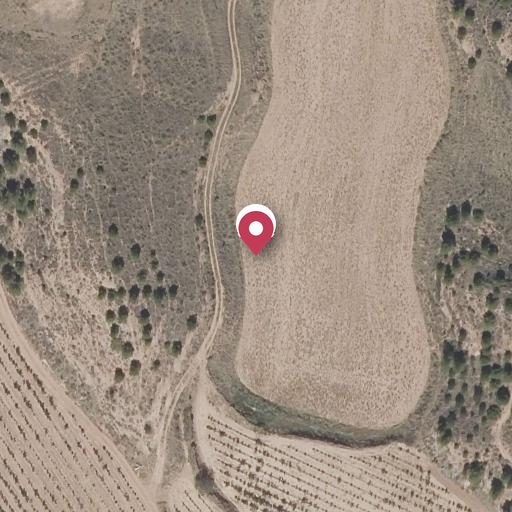 Foto aérea de la subasta en Najera