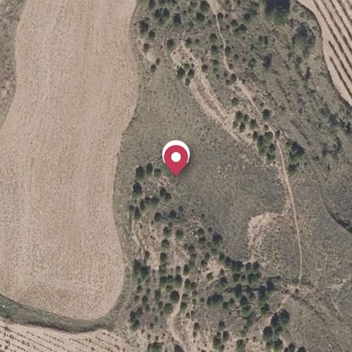 Foto aérea de la subasta en Najera