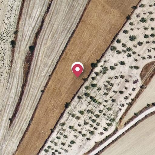 Foto aérea de la subasta en Aramunt