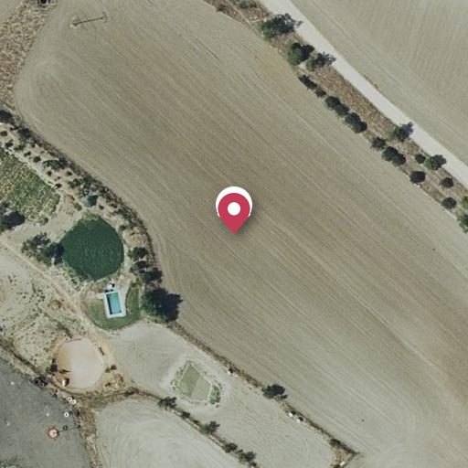 Foto aérea de la subasta en Pinto
