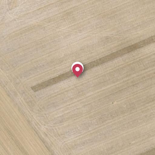 Foto aérea de la subasta en Mucientes